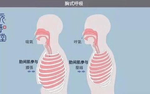 胸式呼吸