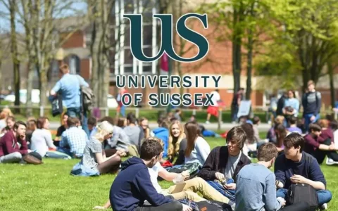 萨塞克斯大学媒介与电影系