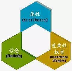 多重态度属性模型