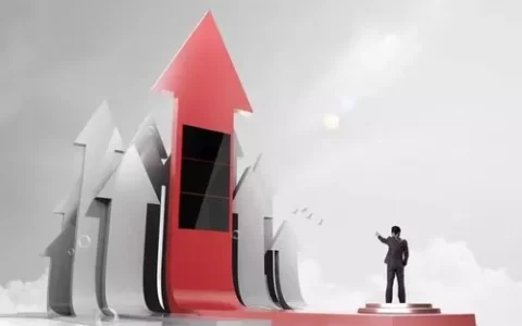 激进式改革
