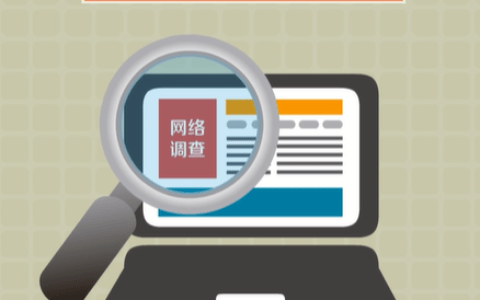 网络调查