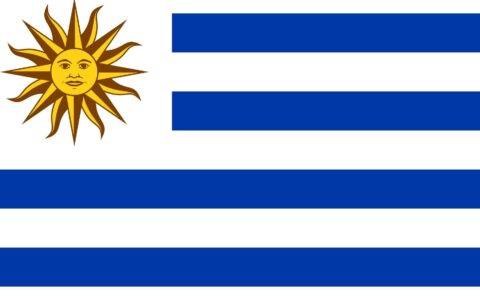 乌拉圭全国广播电台电视台联合会