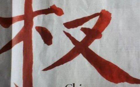 批评性报道