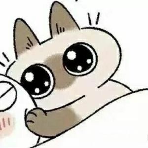 热情火辣芭拉拉的头像