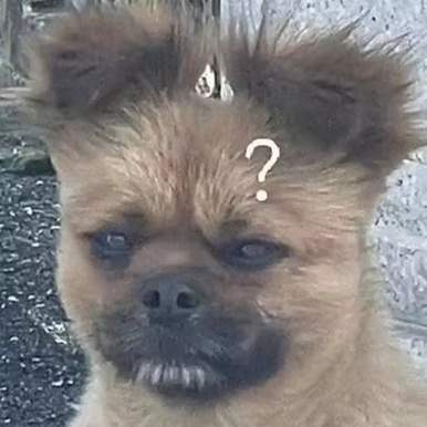 乌奇mua嘿的头像